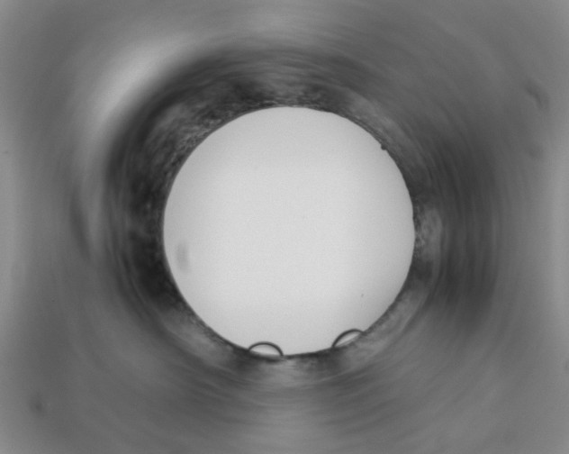 X0000113170430200910021526