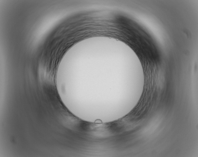 X0000113170431200910021526