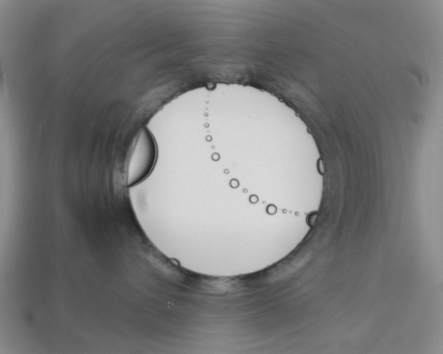 X0000113170432200910021526