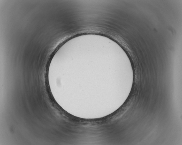 X0000113170434200910021526