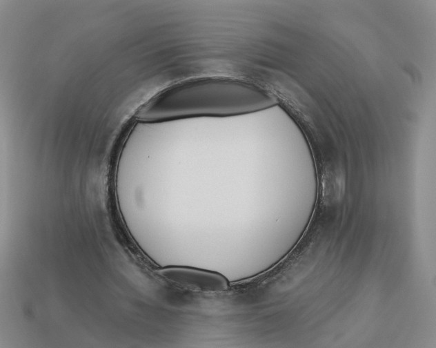 X0000113170436200910021526
