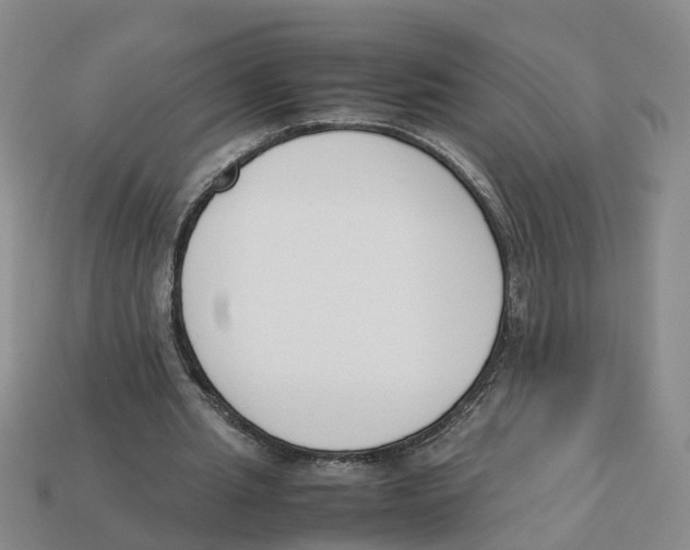 X0000113170437200910021526