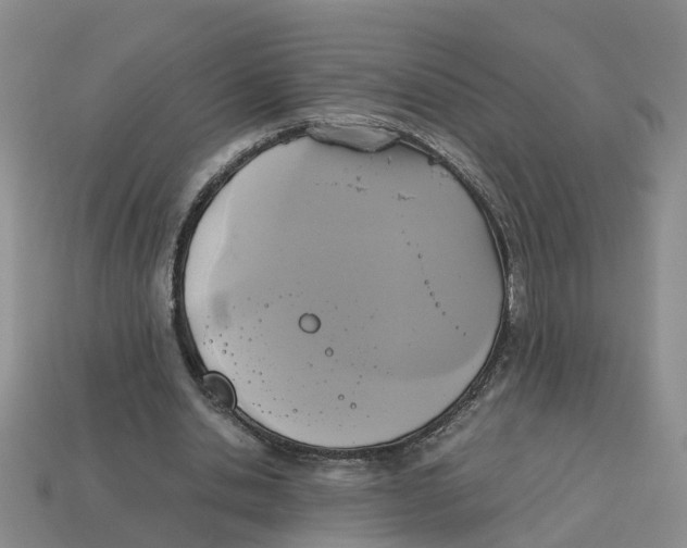 X0000113170438200910021526