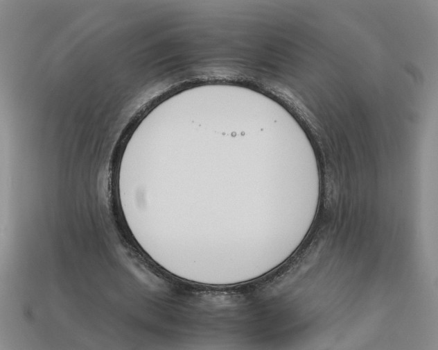 X0000113170439200910021526