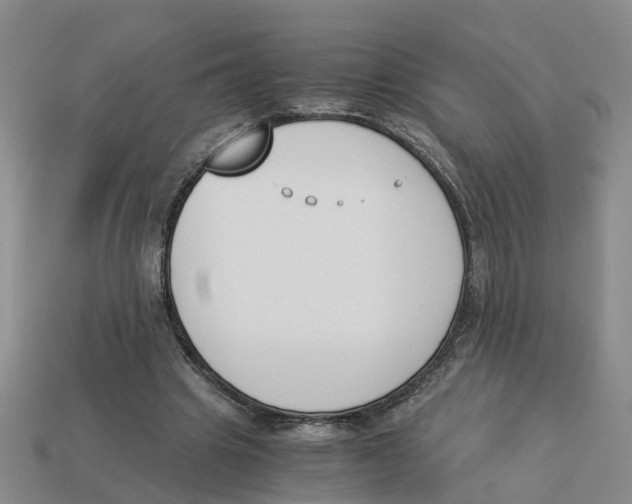 X0000113170441200910021526