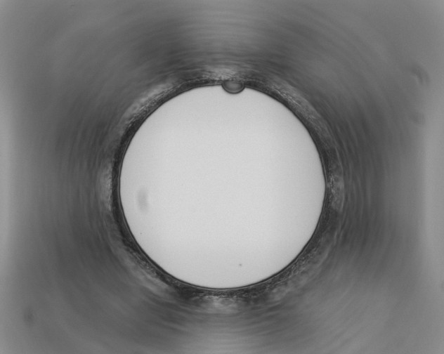 X0000113170442200910021526