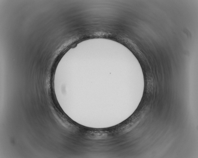 X0000113170443200910021526