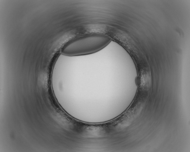 X0000113170444200910021526