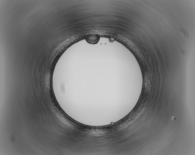 X0000113170445200910021526