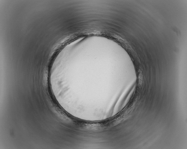 X0000113170446200910021526