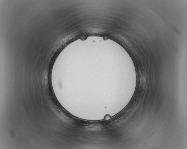 X0000113170447200910021526
