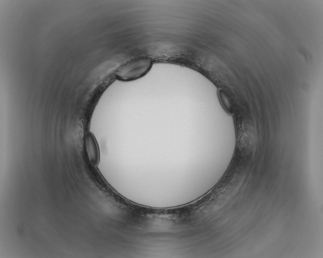 X0000113170448200910021526