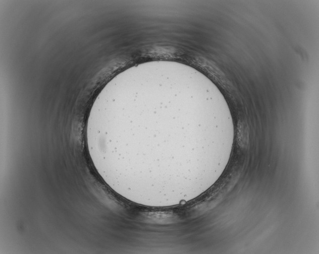 X0000113170449200910021526