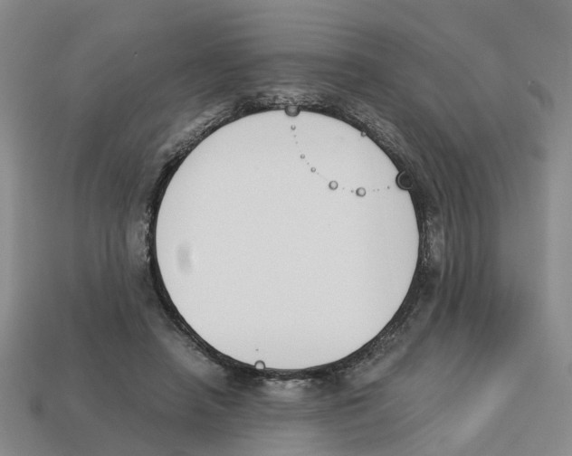 X0000113170450200910021526
