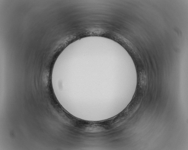 X0000113170451200910021526