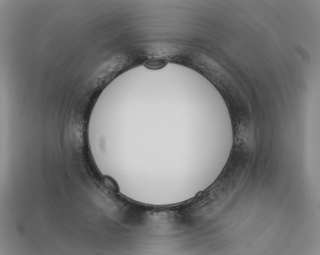 X0000113170452200910021526