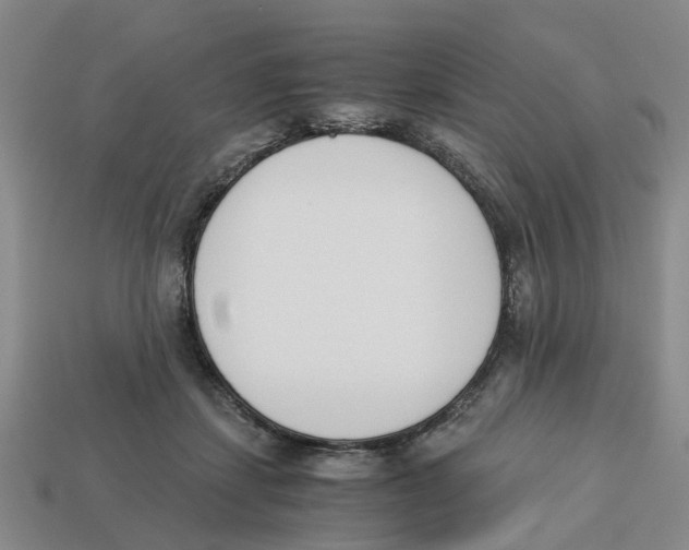 X0000113170459200910021526