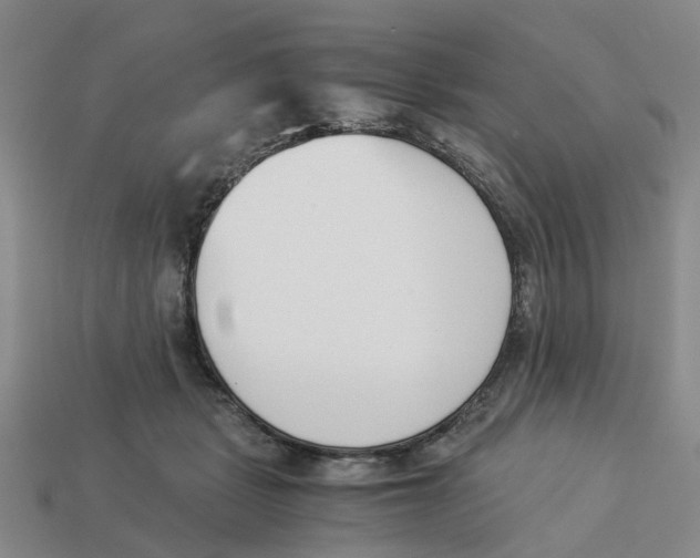 X0000113170461200910021526