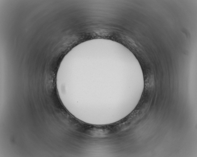 X0000113170464200910021526