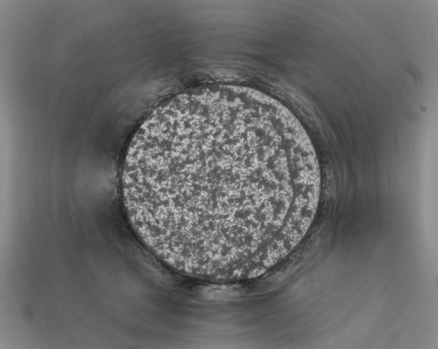 X0000113170465200910021526