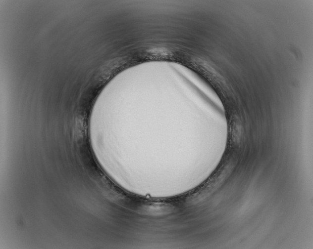 X0000113170467200910021526