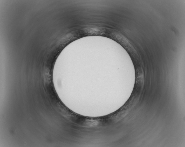 X0000113170469200910021526