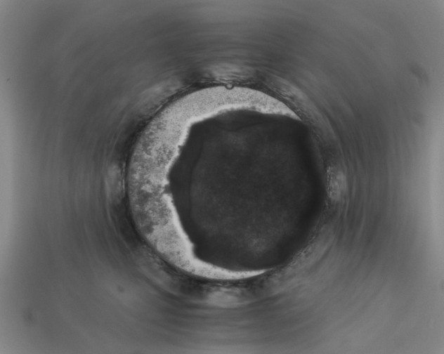 X0000113170471200910021526