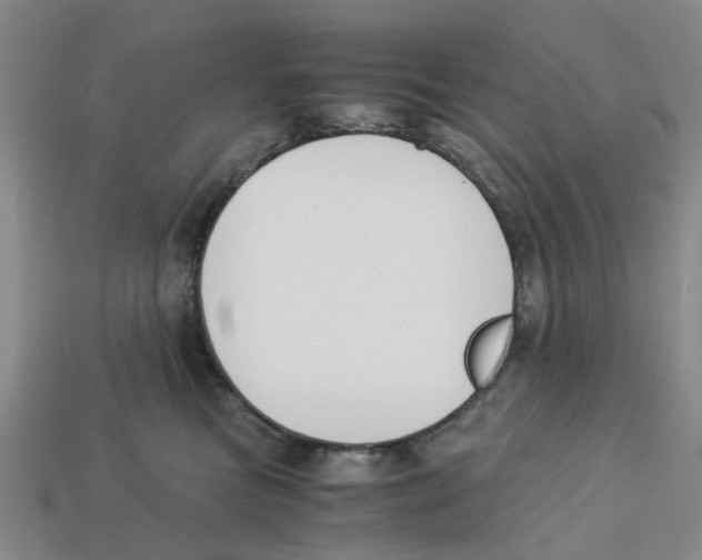 X0000113170473200910021526