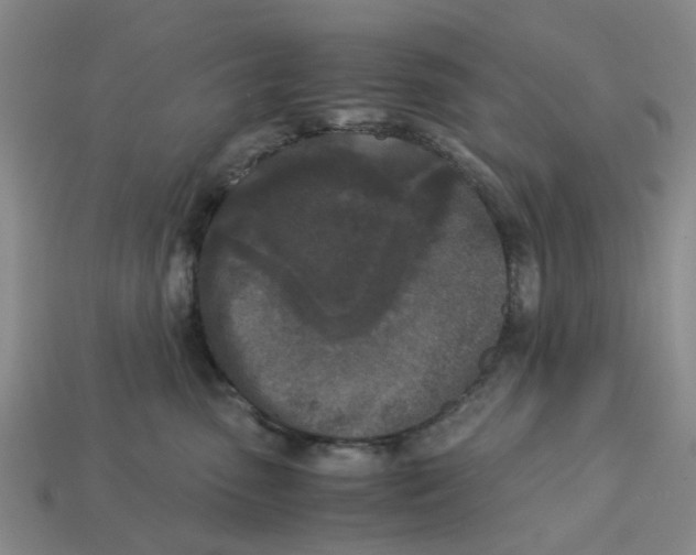 X0000113170475200910021526