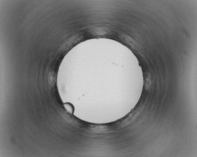 X0000113170476200910021526