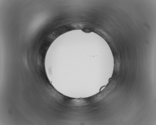 X0000113170477200910021526
