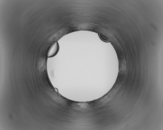 X0000113170478200910021526