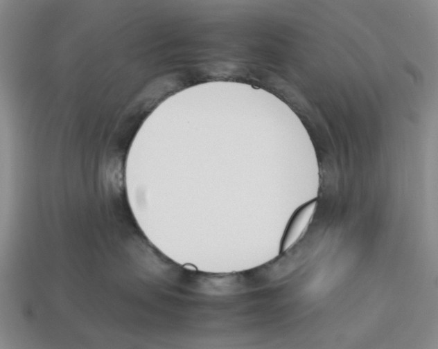X0000113170479200910021526
