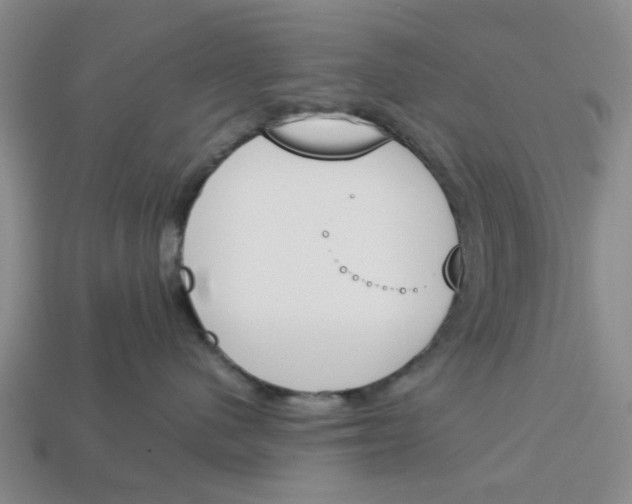 X0000113170480200910021526
