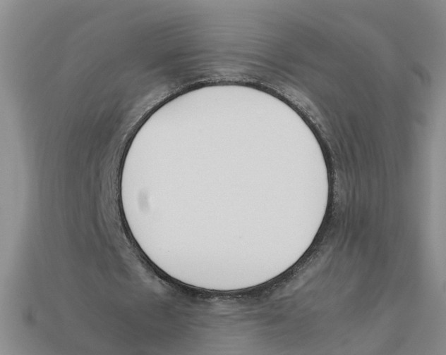 X0000113170481200910021526