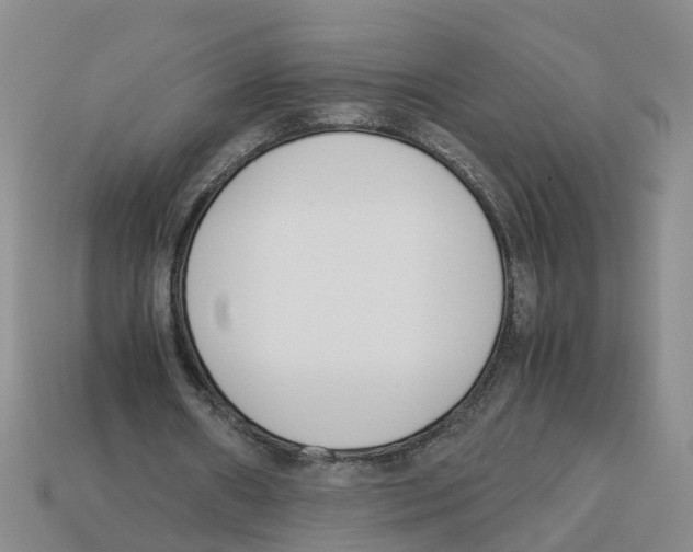 X0000113170482200910021526