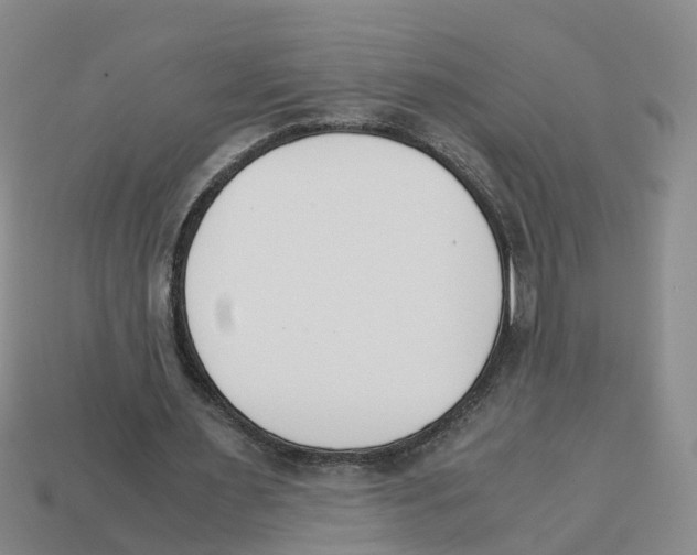X0000113170483200910021526