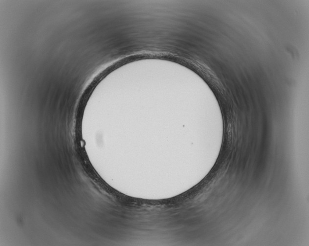 X0000113170484200910021526