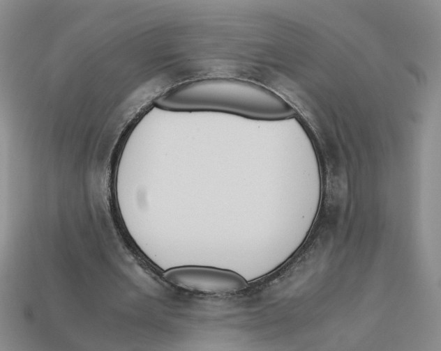 X0000113170485200910021526