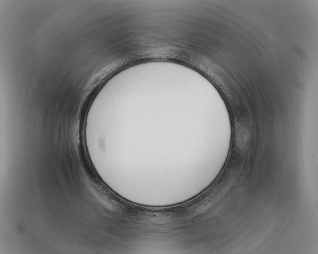 X0000113170486200910021526