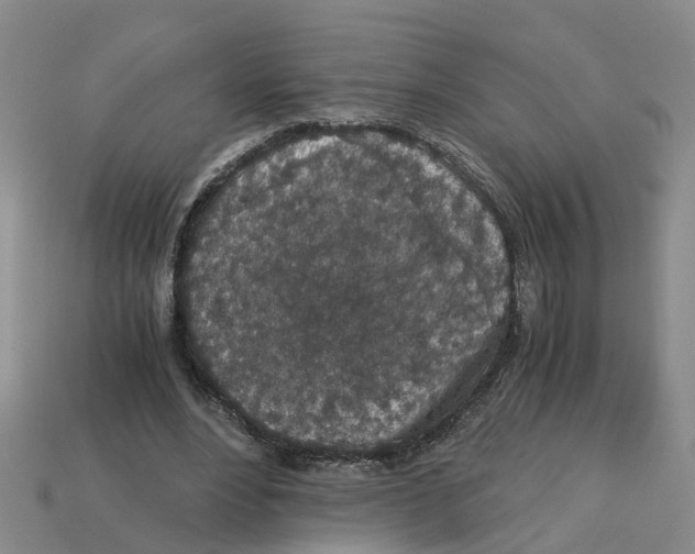 X0000113170488200910021526
