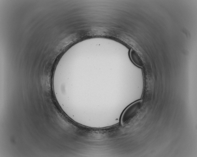 X0000113170489200910021526