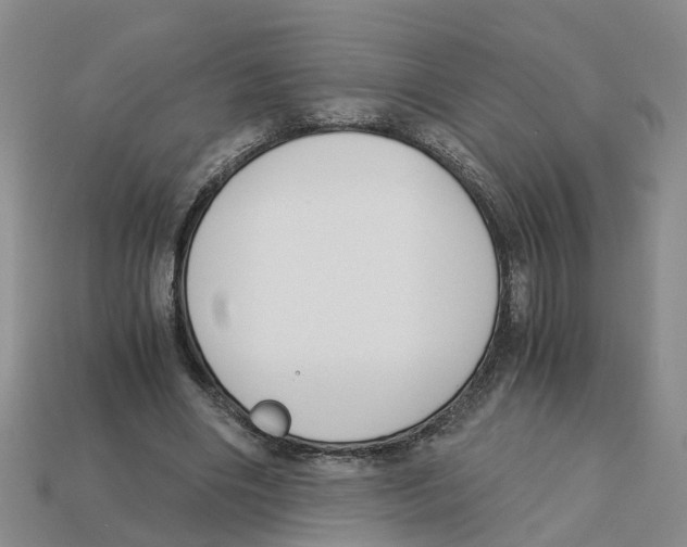 X0000113170490200910021526