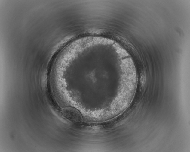 X0000113170492200910021526