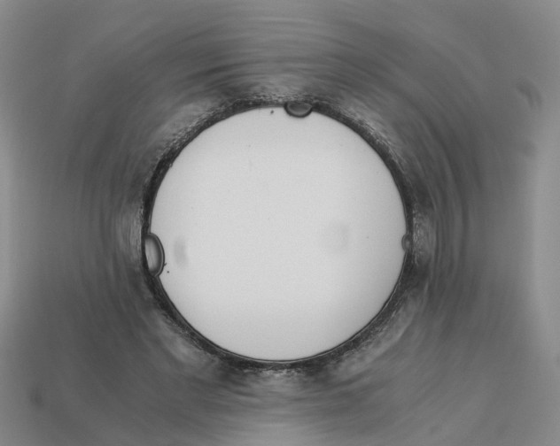 X0000113170493200910021526