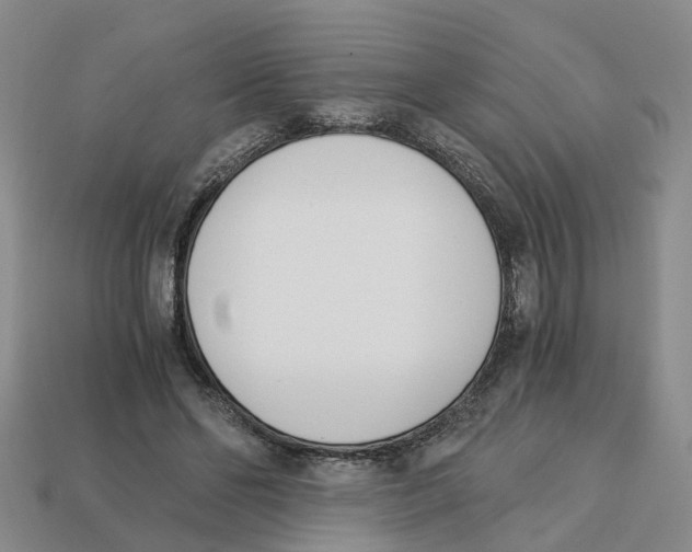 X0000113170494200910021526