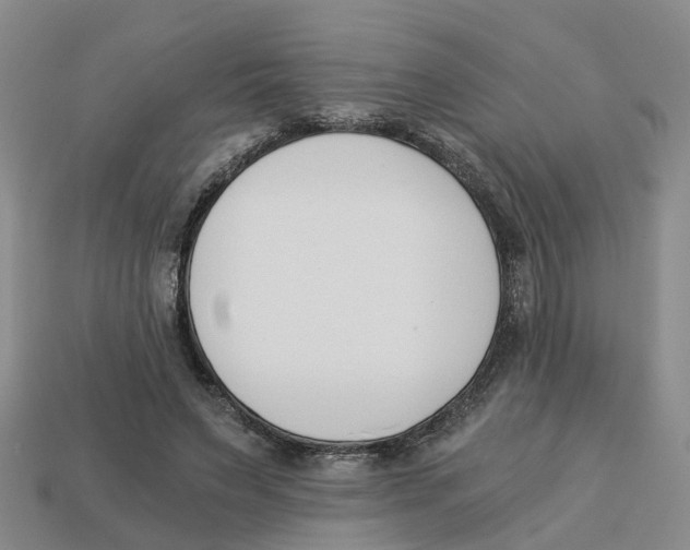 X0000113170495200910021526