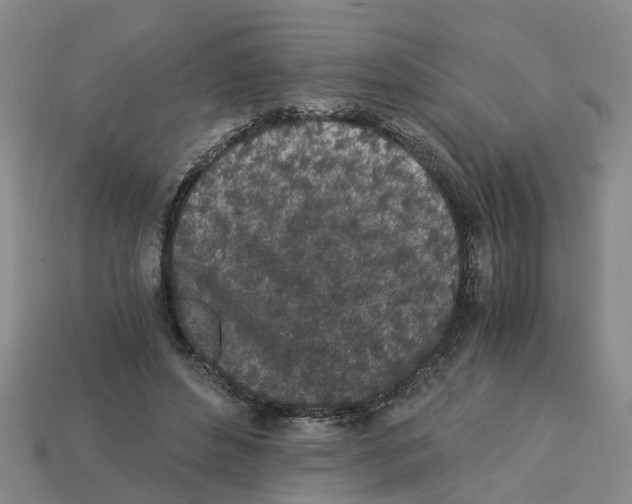 X0000113170496200910021525