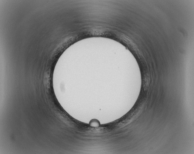 X0000113170497200910021525