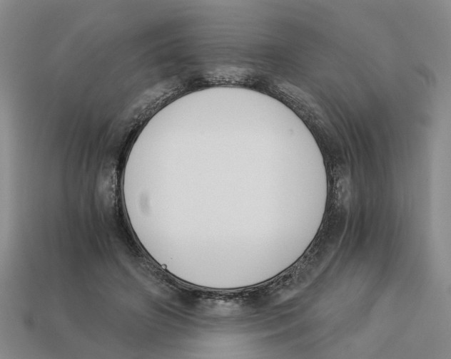 X0000113170498200910021525